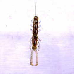Scum Gill - NED Shrimp 8,6cm