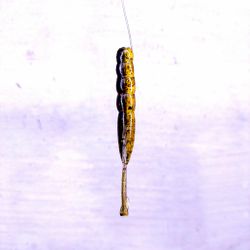 Scum Gill - NED Shrimp 8,6cm