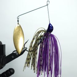The Downsizer - Special Junebug