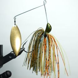 The Downsizer - Blue Gill