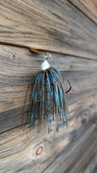 Molted Crayfish - Premium Limited Edition