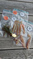 LARGE ULM BUNDLE! - Kiwi Lover