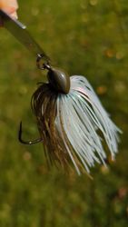 Shampompkin