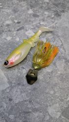 Gigabite v2 Setsuki Ayu 14cm