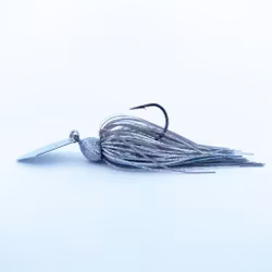 Baltic Herring