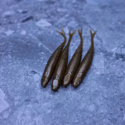 Pumpkin Gold - The Gimp 10cm