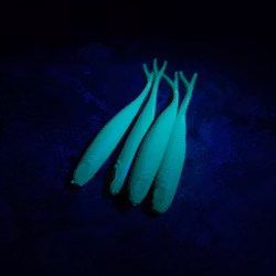 Motoroil (UV) - The Gimp 10cm