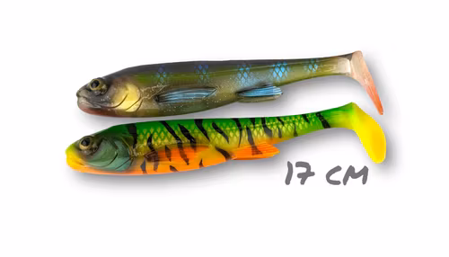 U-Shad 17cm 50g Painted