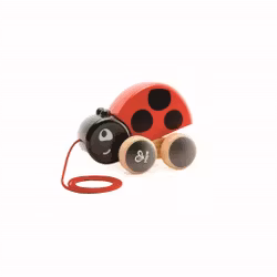 Hape, Pull Along Ladybug
