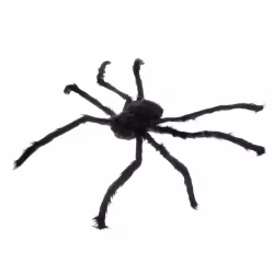 Spindel Dekoration