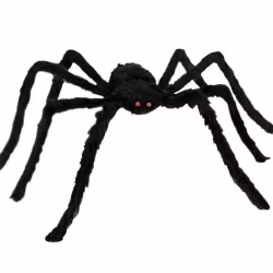 Spindel Dekoration
