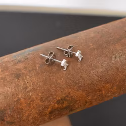 Örhänge Litet Glitter SILVER