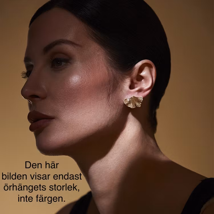 Örhänge Vivi SILVER - The Moshi