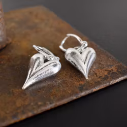 Örhänge Tammy SILVER - The Moshi