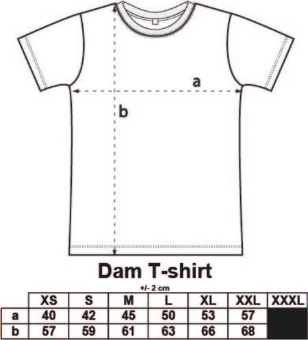 Grå Dam T-shirt "Black Jack Inatt, Inatt"