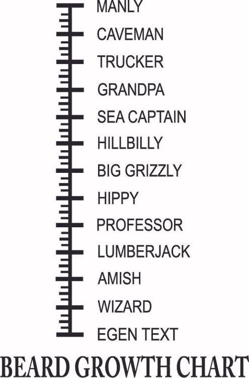 705. Beard Growth Chart "Egen Text"