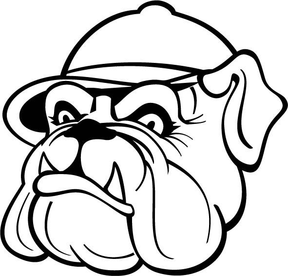 305. Bulldog med keps