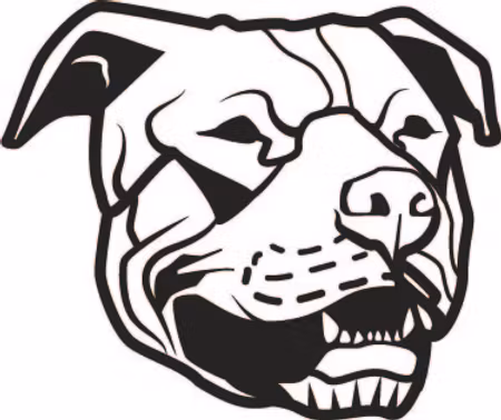 311. Rottweiler