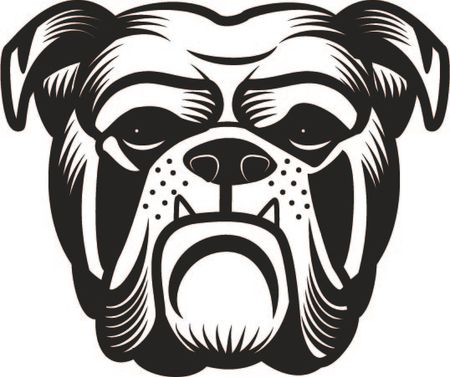 316. Bulldog huvud