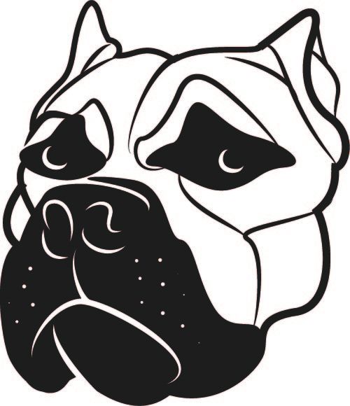 319. Boxer huvud