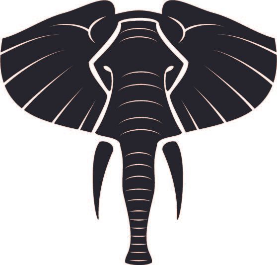 325. Elefant framifrån