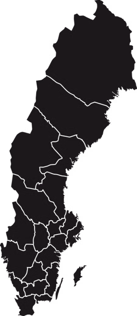 Hoodtröja Basic "SVERIGE KARTA"