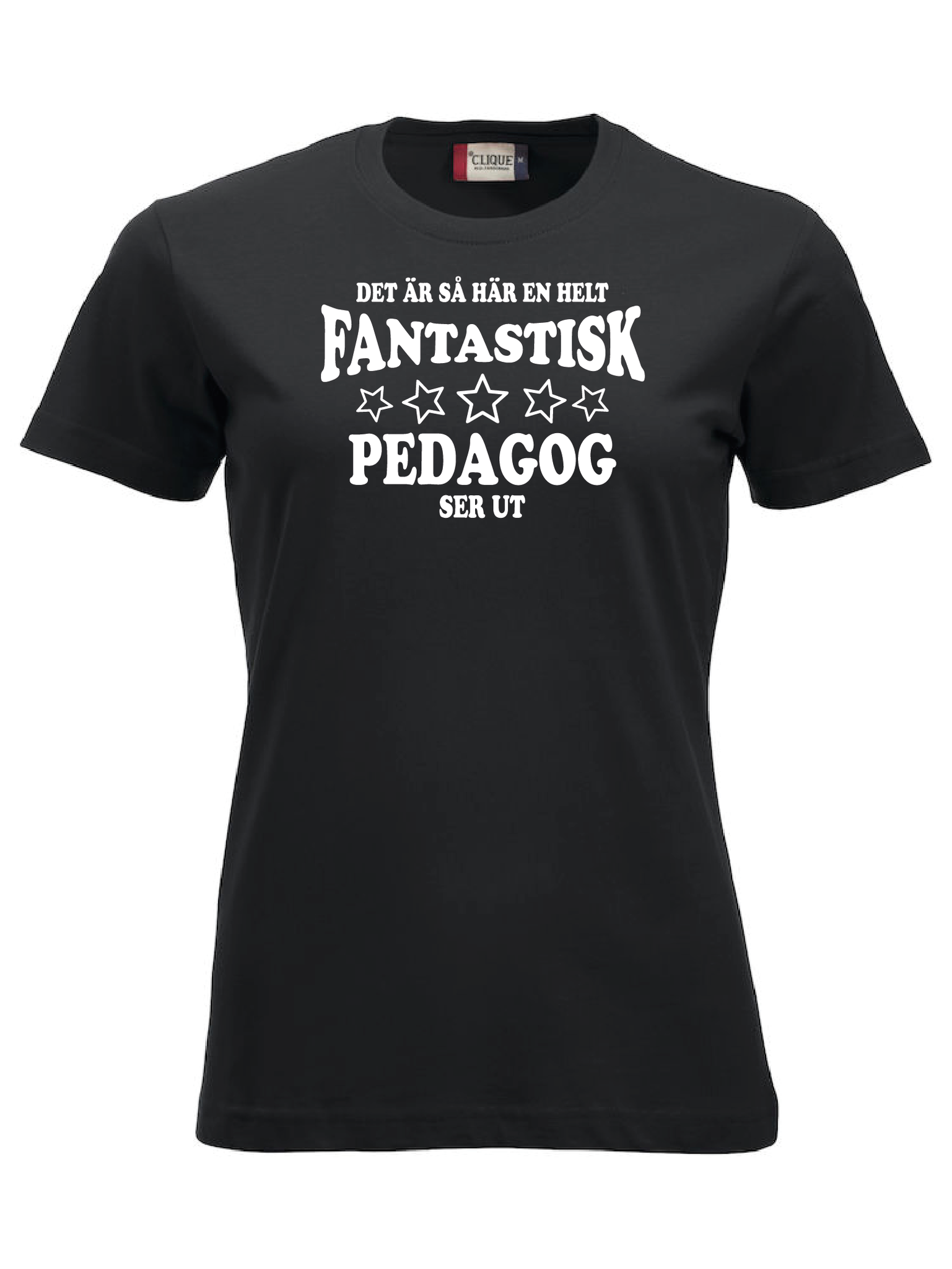 Dam T-shirt "FANTASTISK PEDAGOG"