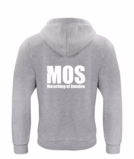 Grå HOODTRÖJA "MOS" stor rygg