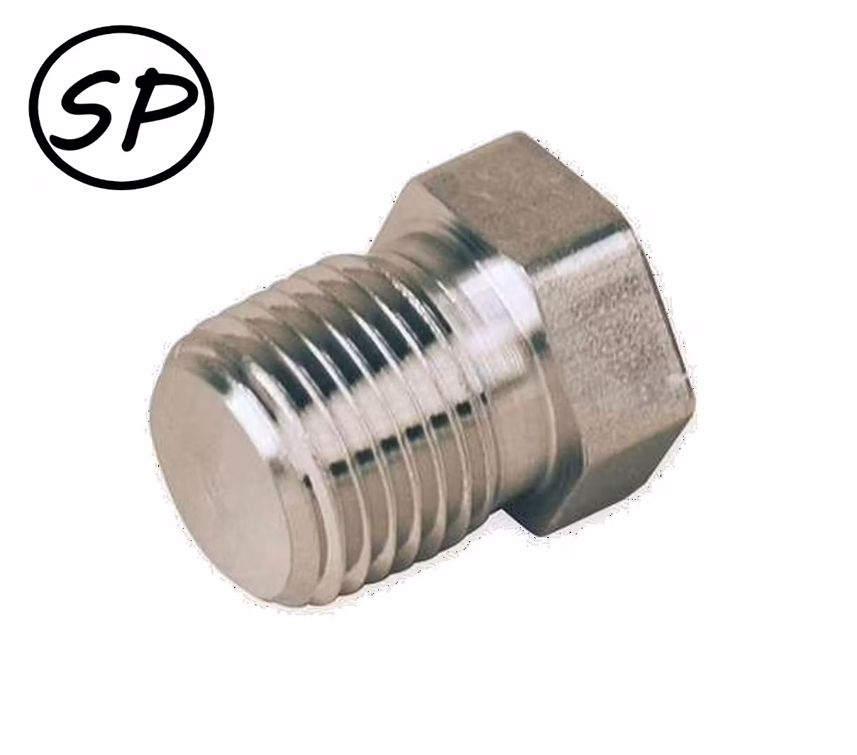 Rostfri plugg 1/8 npt