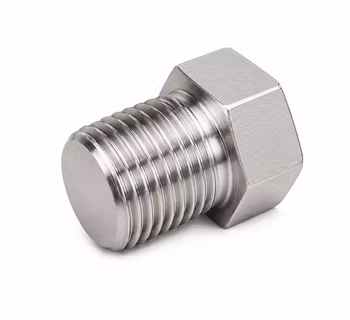 Rostfri plugg 1/8 npt