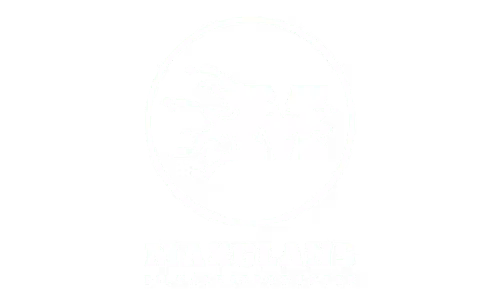 www.Maxglans.se