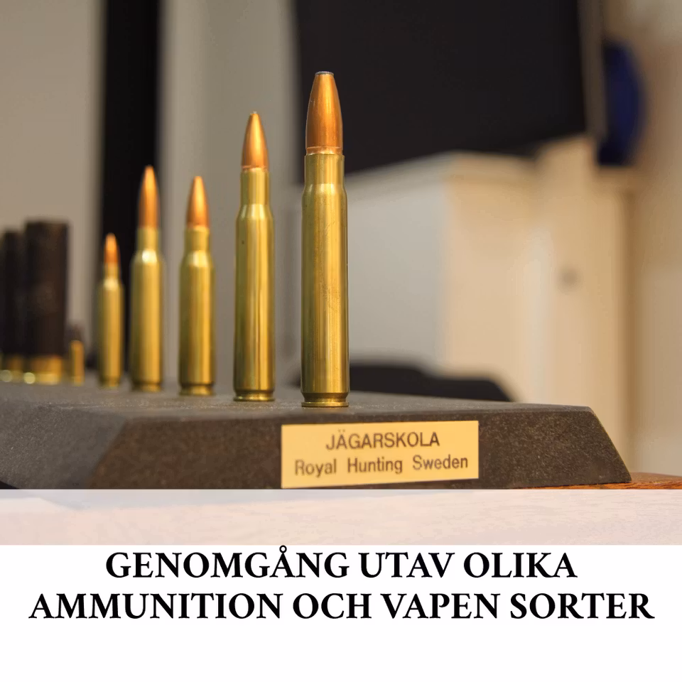 Jägarexamen komplett skytteutbildning pkt