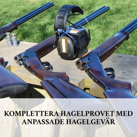 Komplettering - Hagelprovet