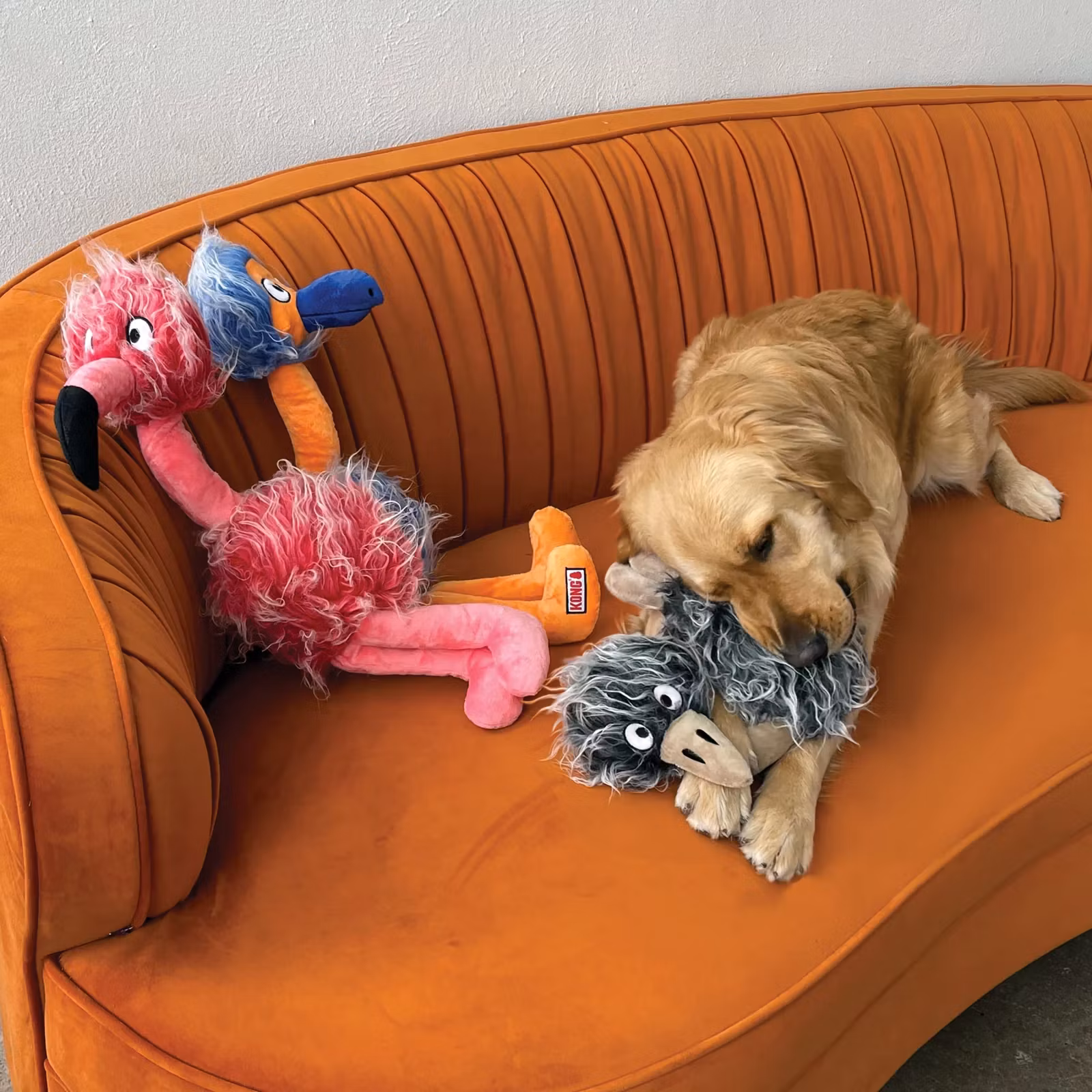 Hundeleke KONG Comfort Jumbo Birds XL Rosa