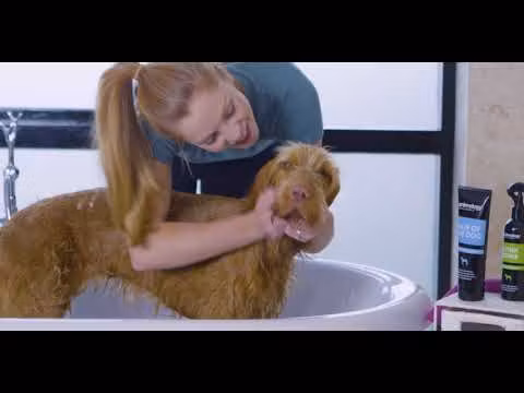 Animology Puppy Love 250 ml