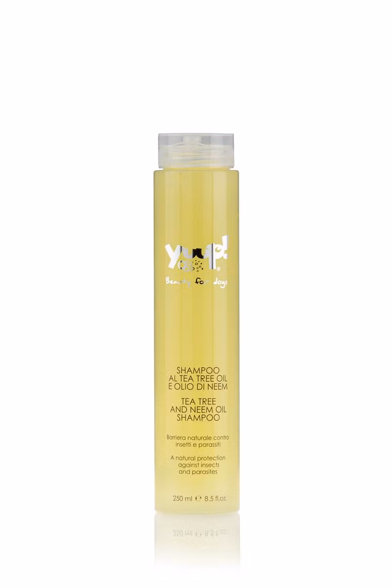 YUUP! TEA TREE AND NEEM OIL SHAMPOO 250ML