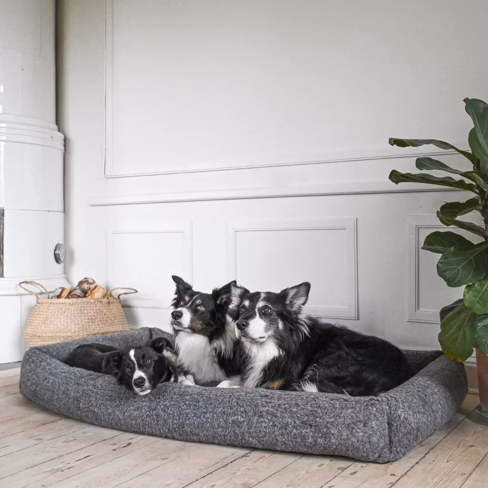 HUNDESENG DUO COZY