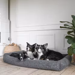 HUNDESENG DUO COZY
