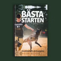 Bästa starten