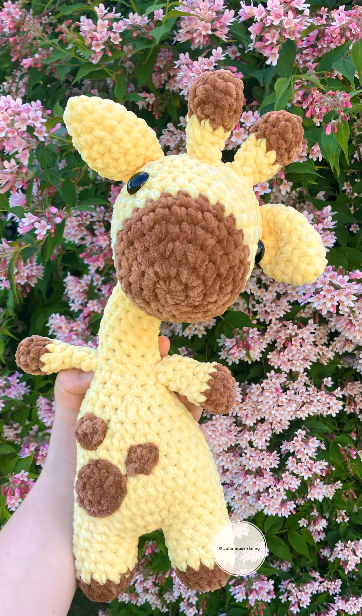 Giraff