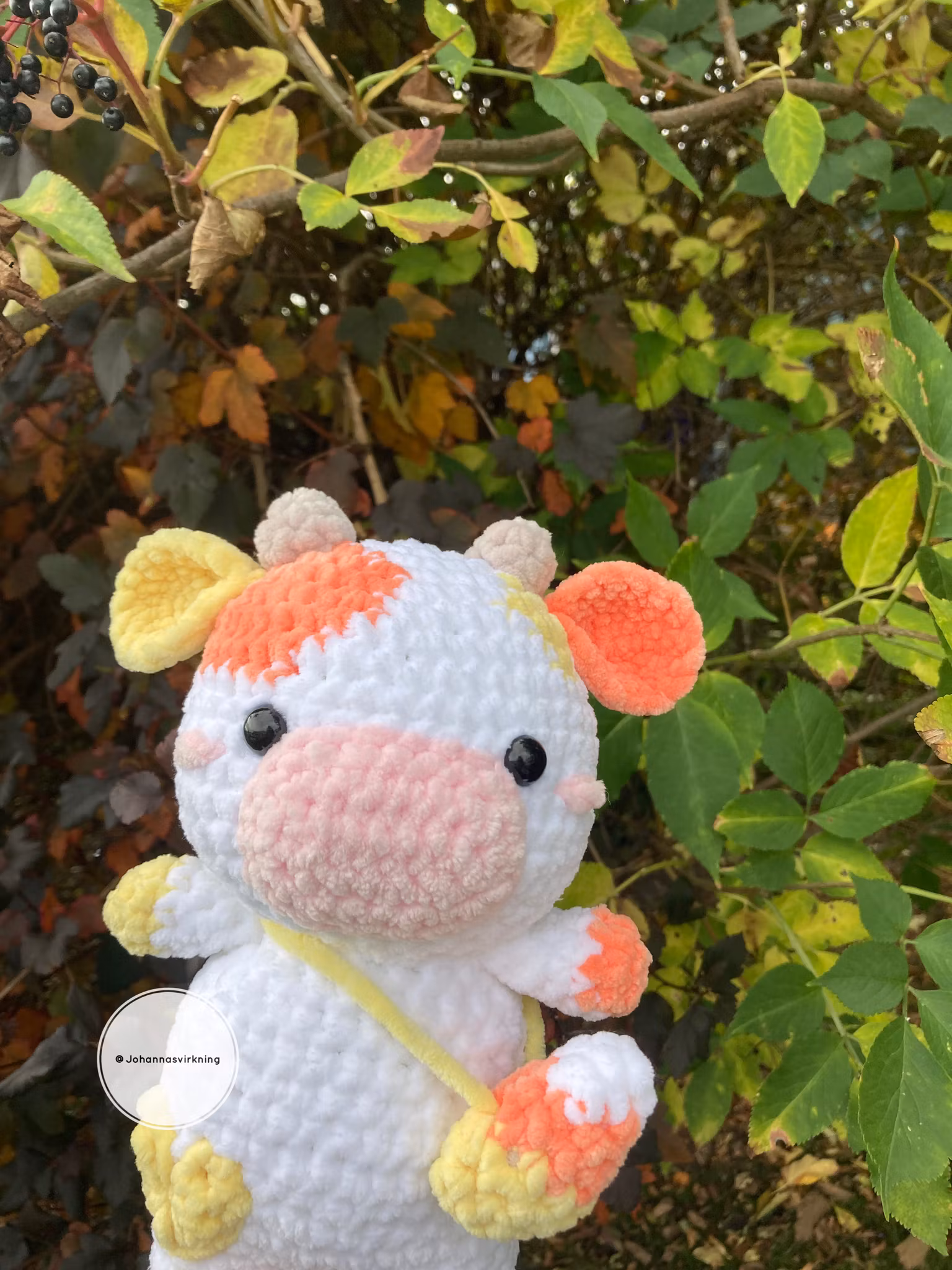 Candy corn ko