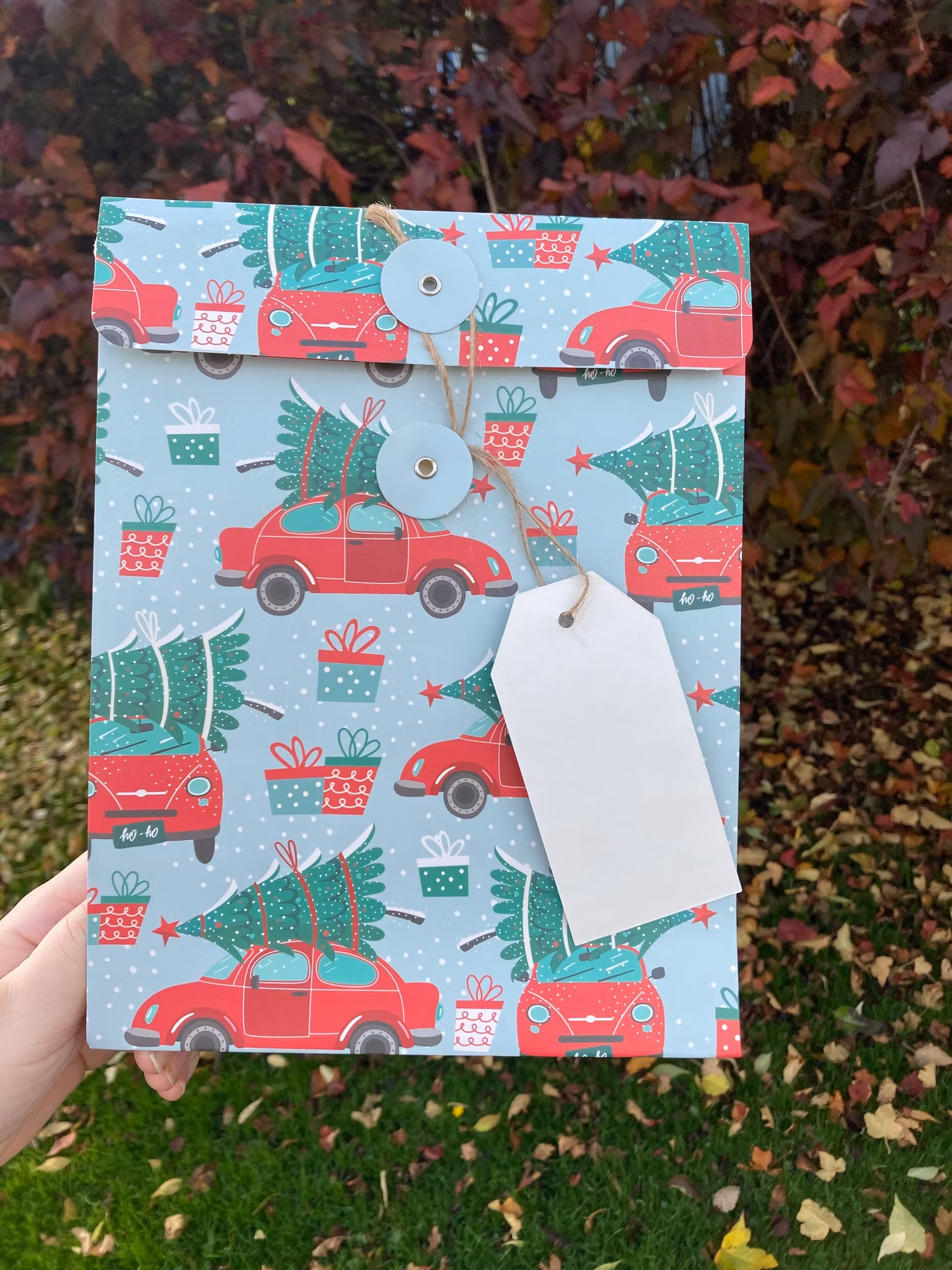 Presentpåse med snörstängning