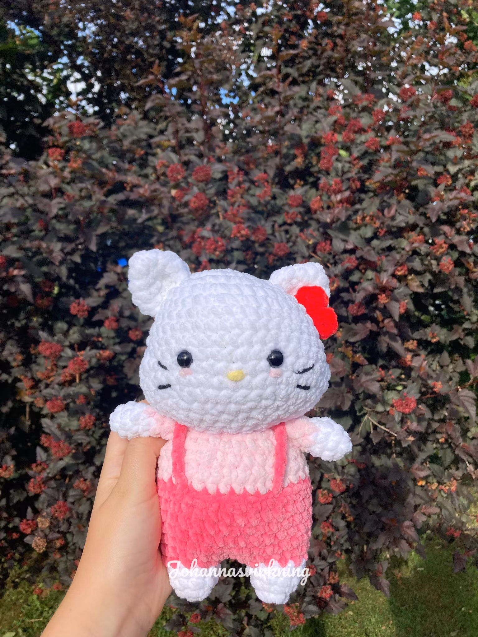 Hello meow meow