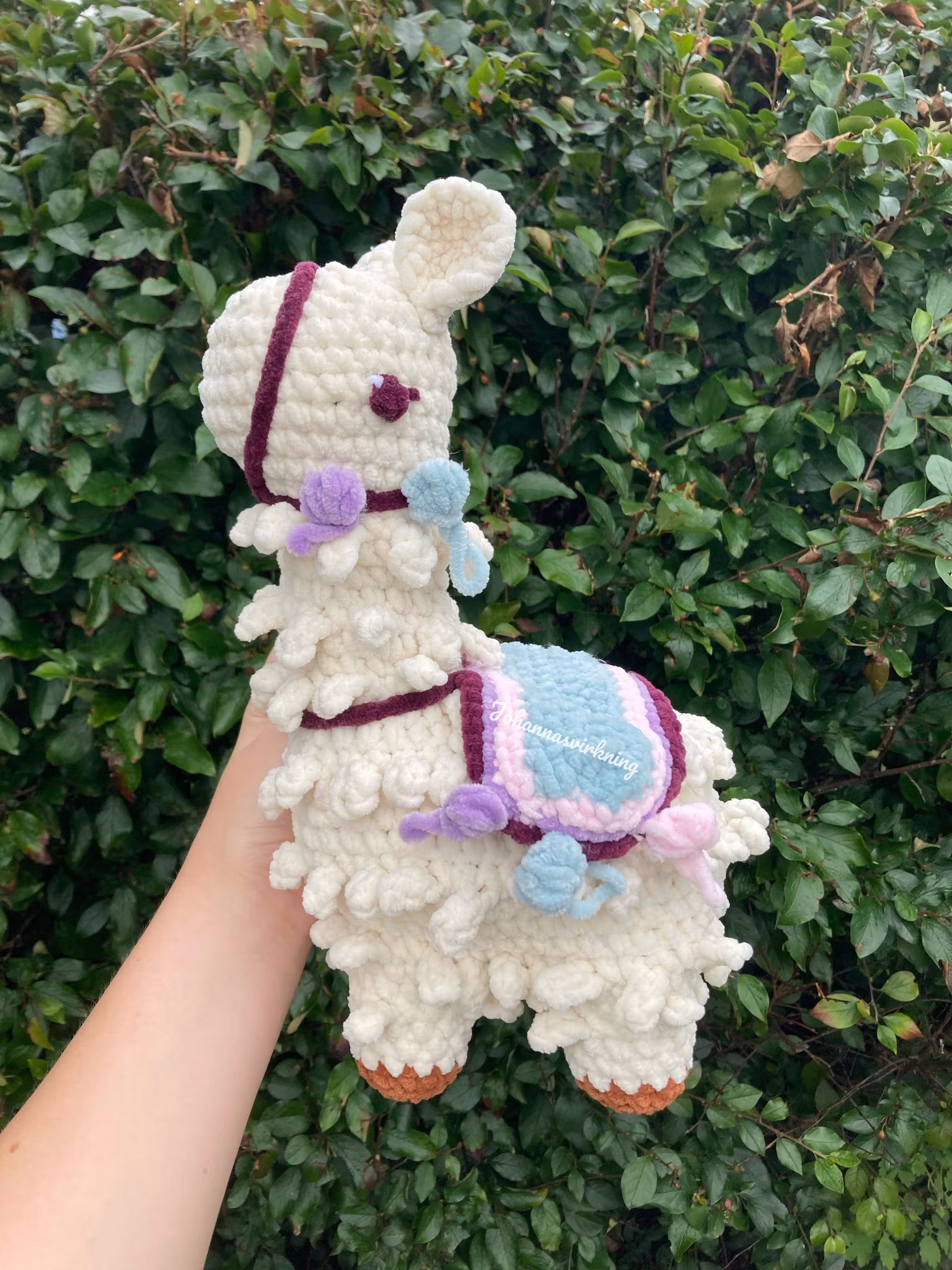 Lama