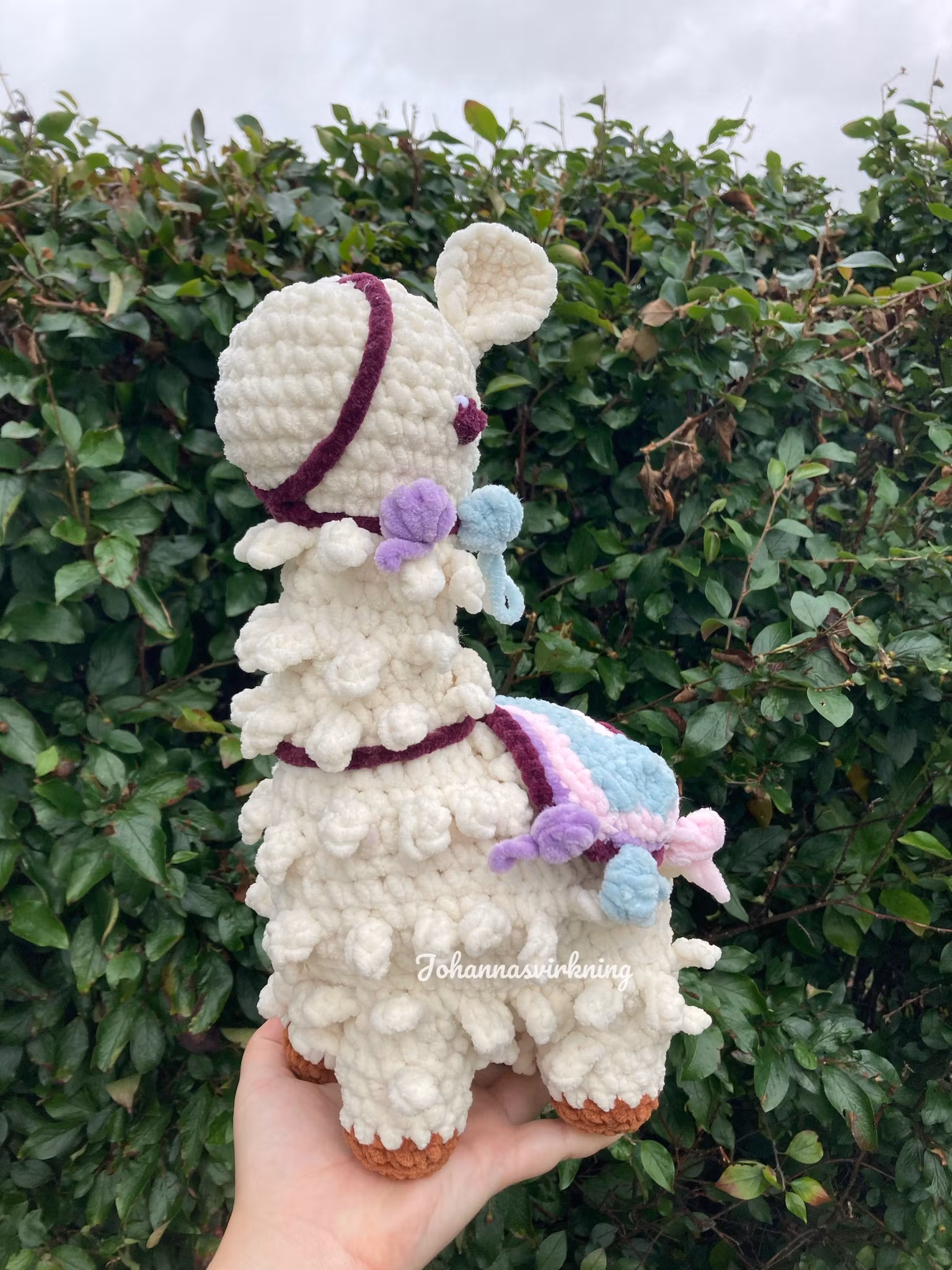 Lama
