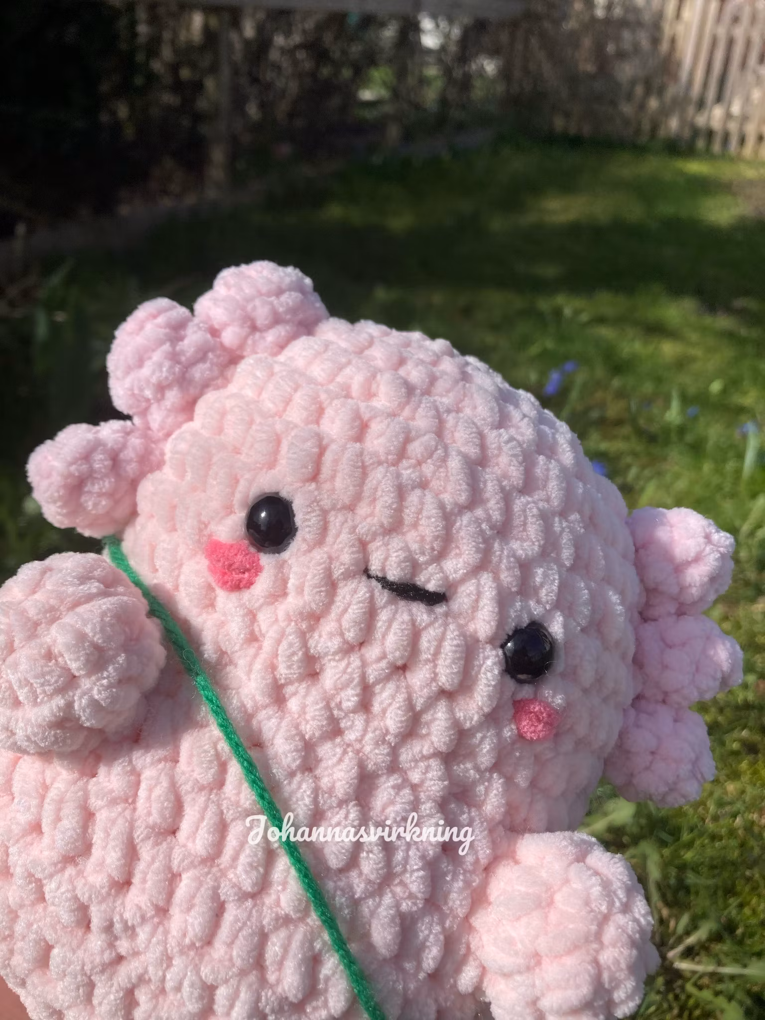 Axolotl