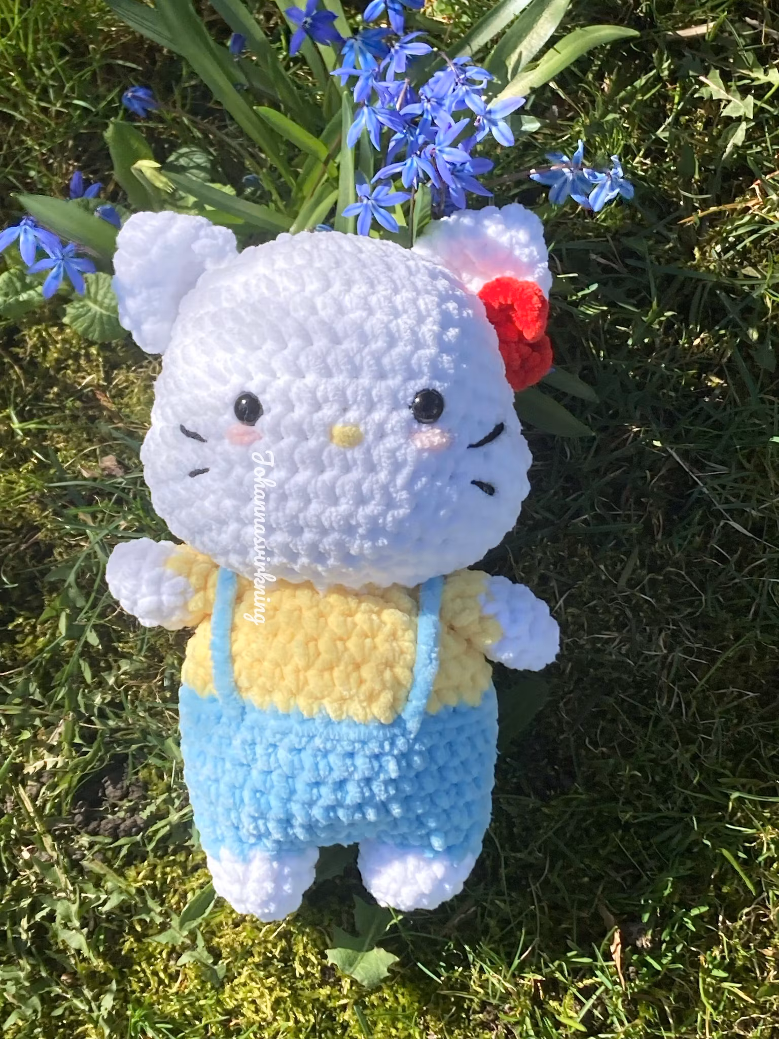 Hello meow meow