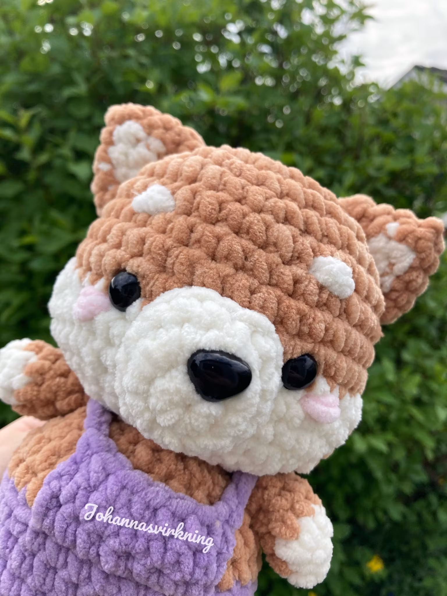 Shiba inu