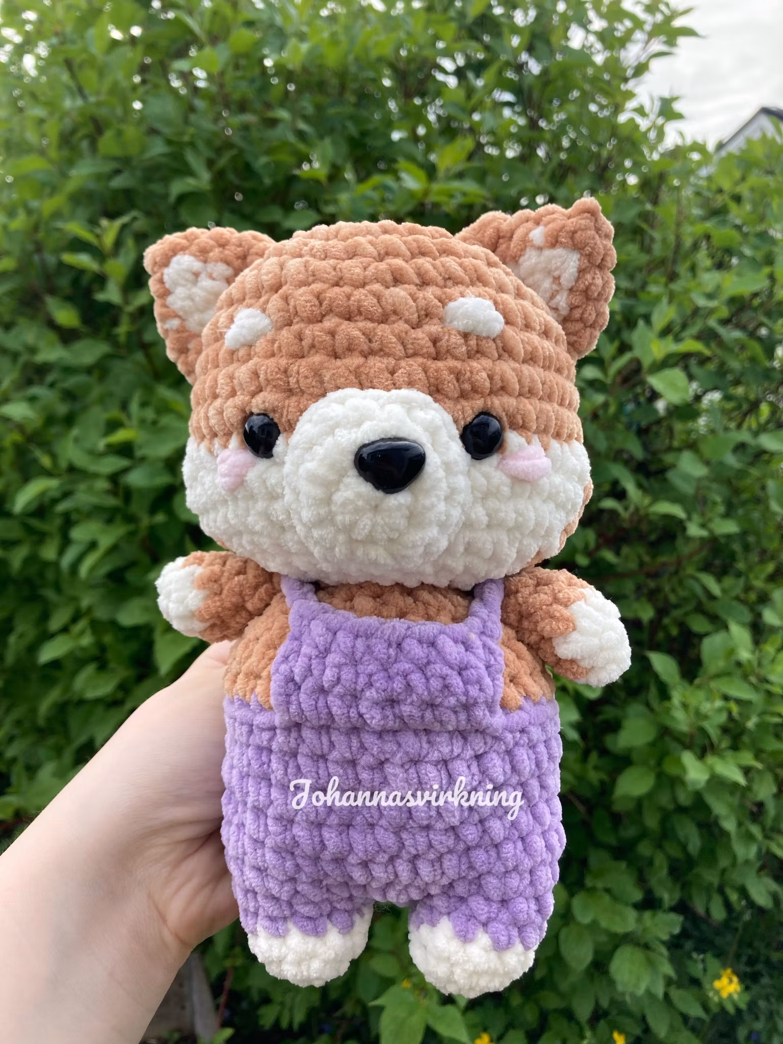 Shiba inu