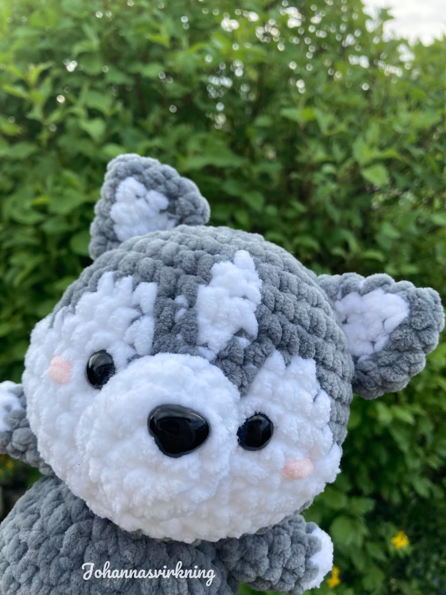 Husky